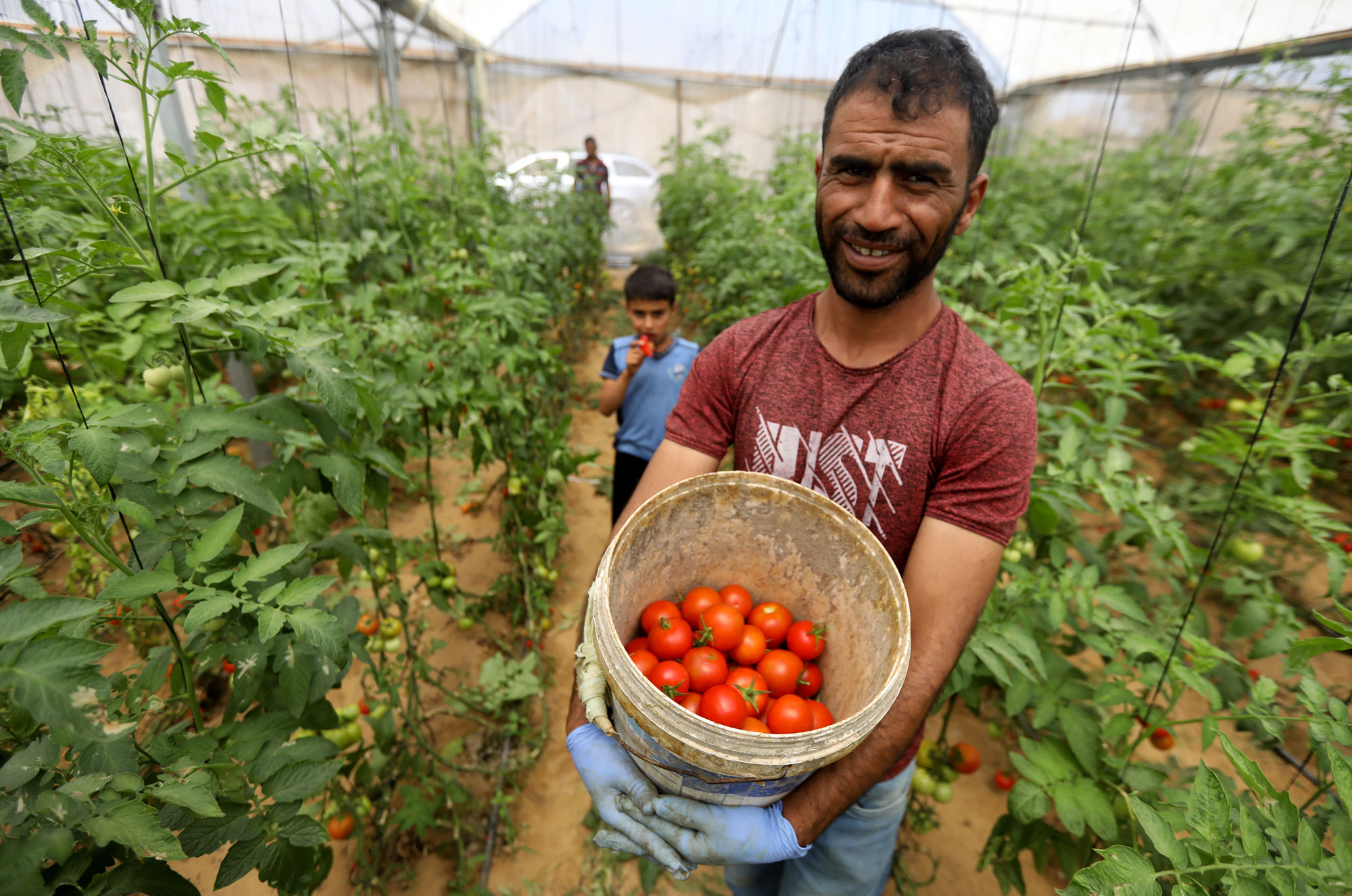 Sustainable Agriculture Project