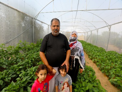 Community garden project - families growing vegetables